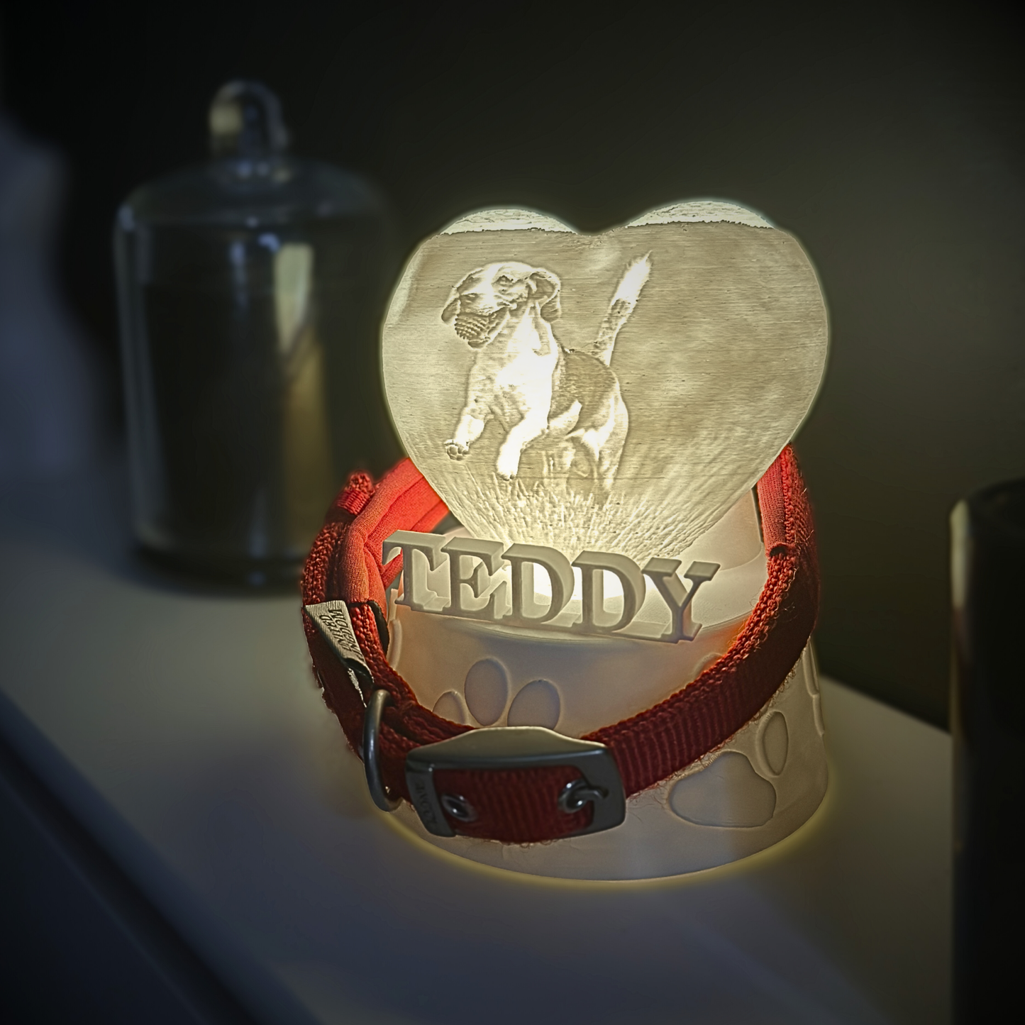 Personalised Pet Collar Holder Light