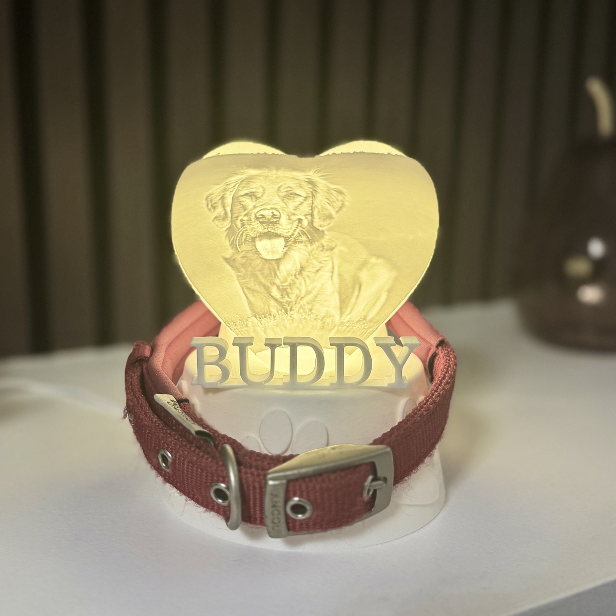 pet collar holder with photo light