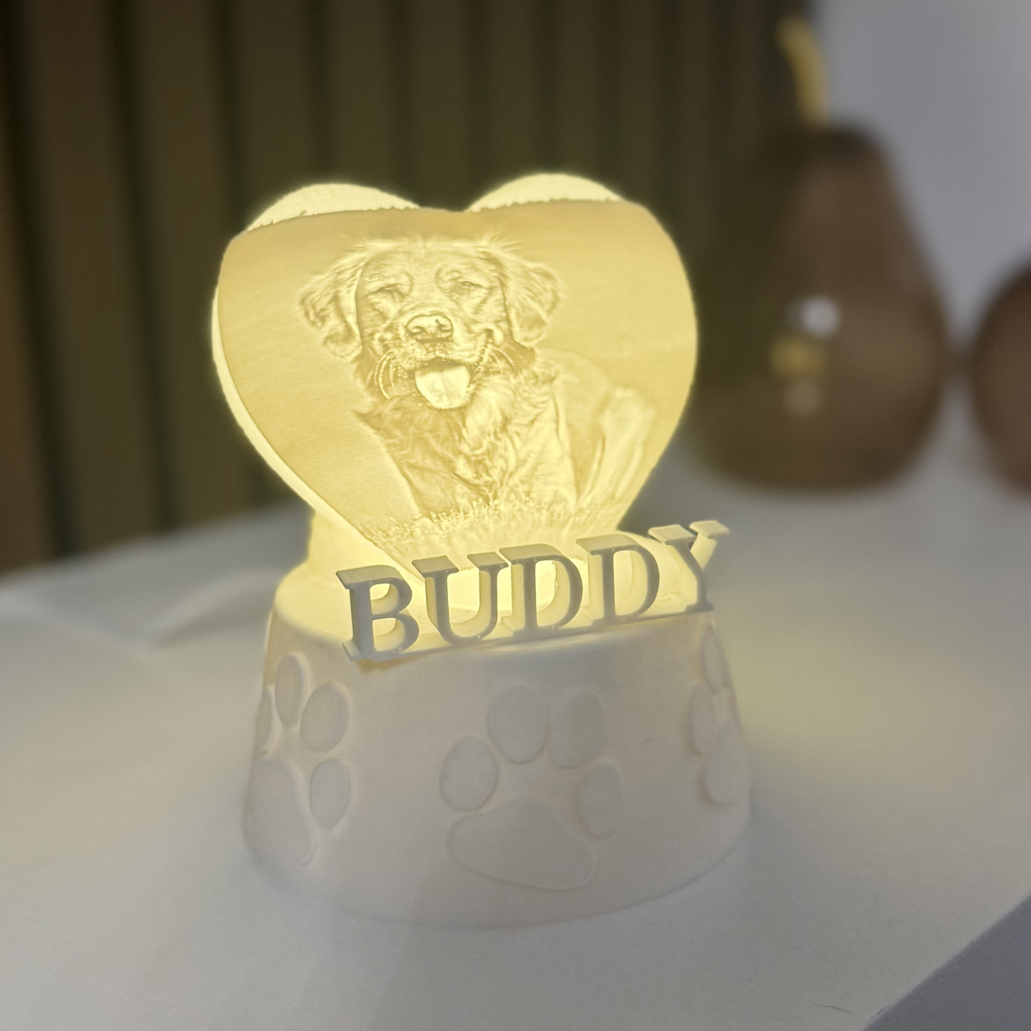 pet loss collar holder light keepsake