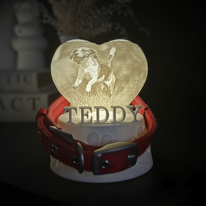 dog memorial collar holder light with photo