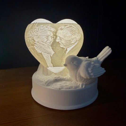 Personalised Robin Memorial Photo Light