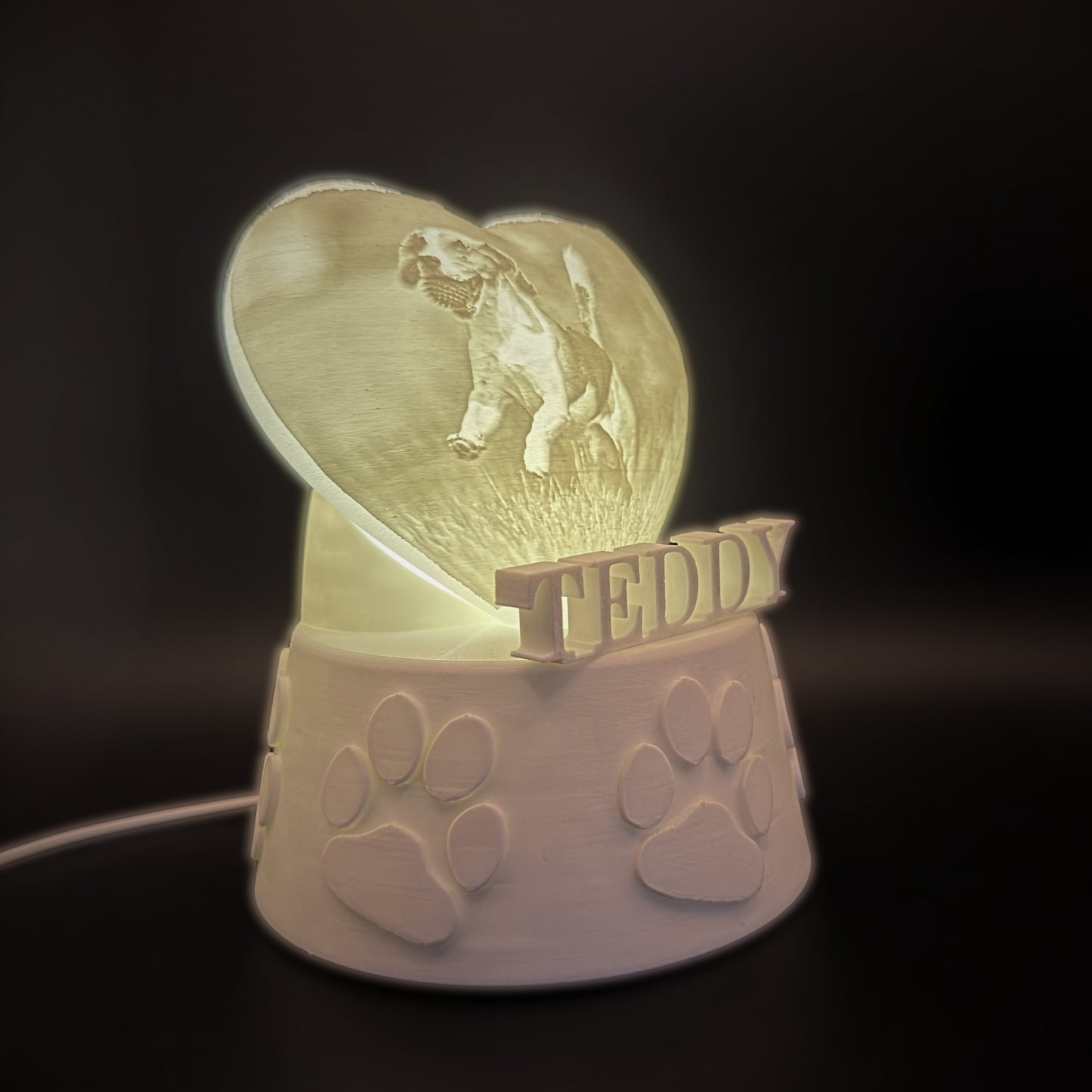 Personalised Pet Collar Holder Light