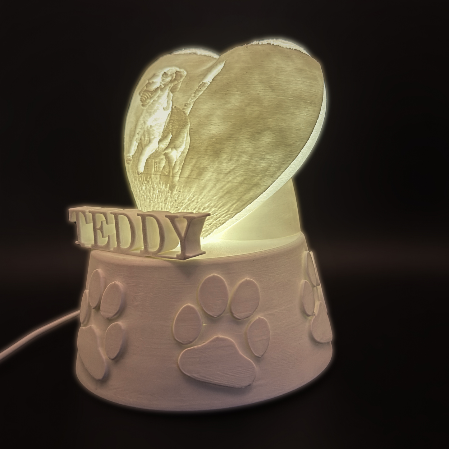 Personalised Pet Collar Holder Light